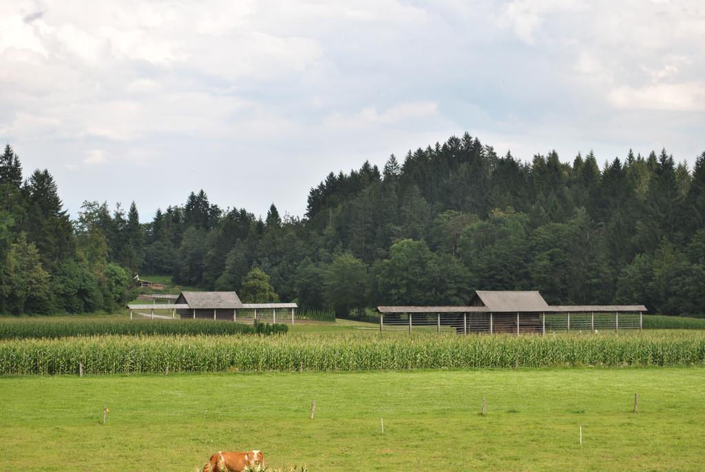 Farm Holidays Povsin Bled Dış mekan fotoğraf