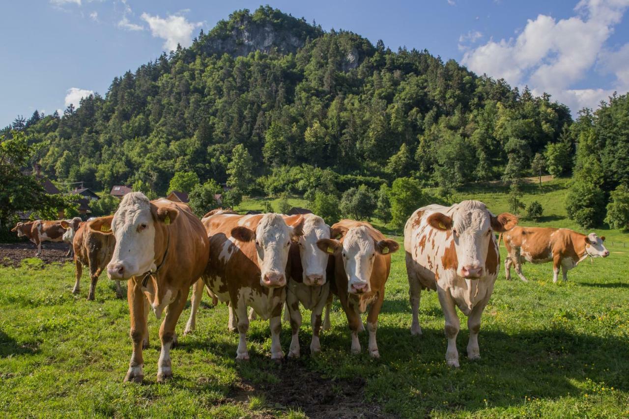 Farm Holidays Povsin Bled Dış mekan fotoğraf